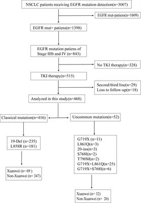 Survival analysis of patients with advanced non-small cell lung cancer receiving EGFR-TKI treatment of Yunnan in southwestern China: a real-world study